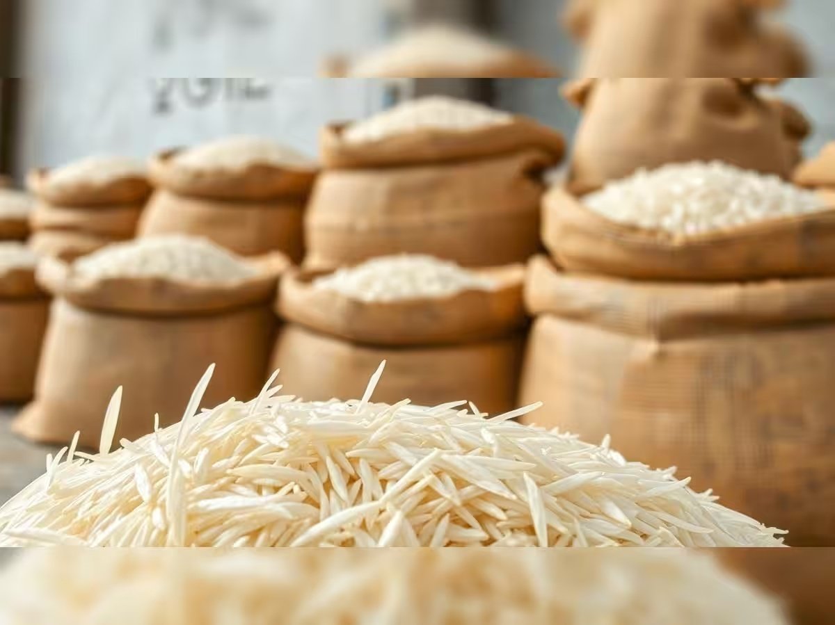 Basmati rice exporters
