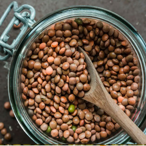 Brown Lentils