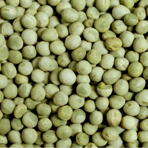 Dry Peas
