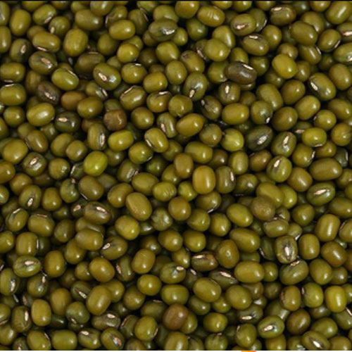 Green Lentils