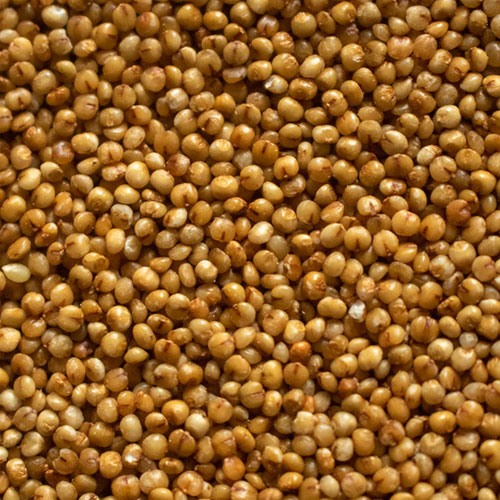 Kodo Millet