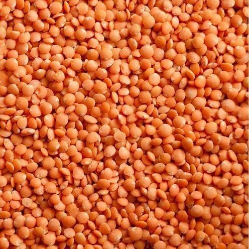 Lentils manufacturers