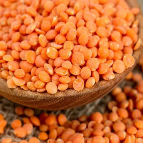 Lentils