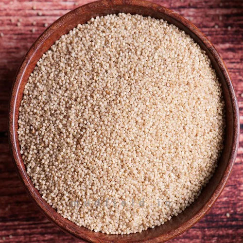 Little Millet