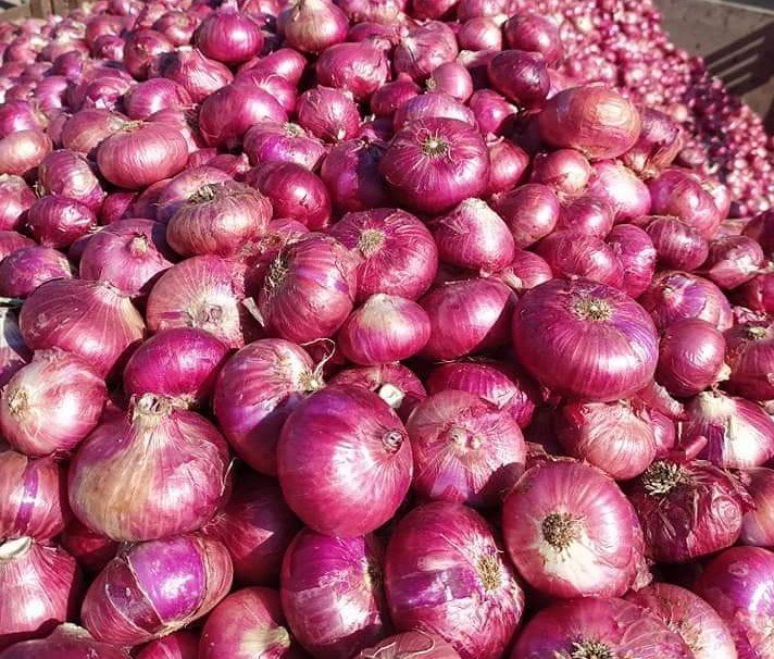 Onion exporters