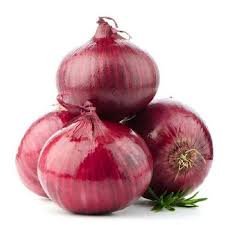  Onion manufacturers