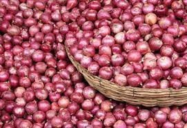 Onion suppliers