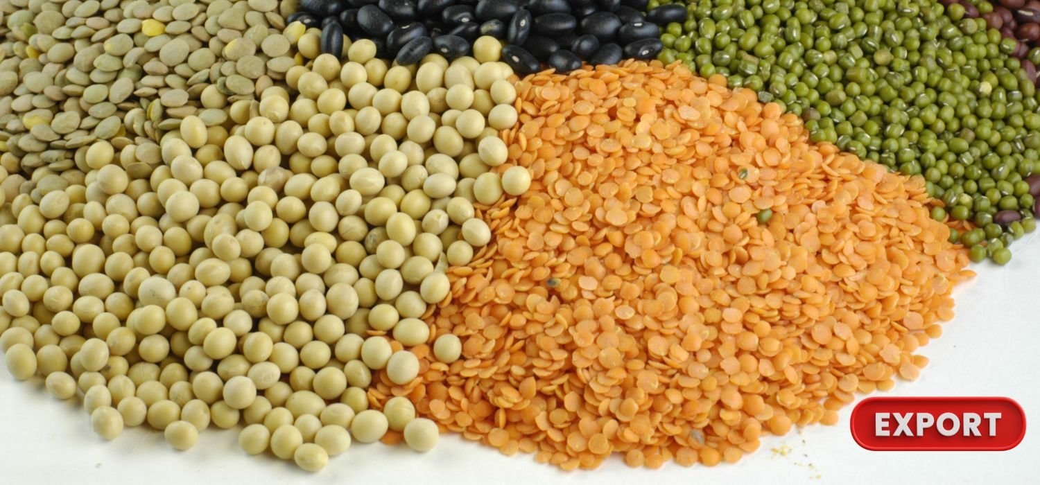 Pulses exporters
