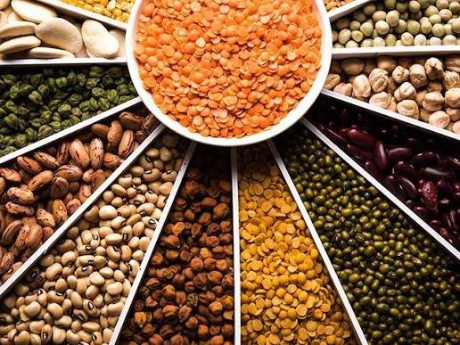 Pulses manufacturers