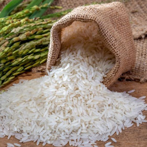 Rice